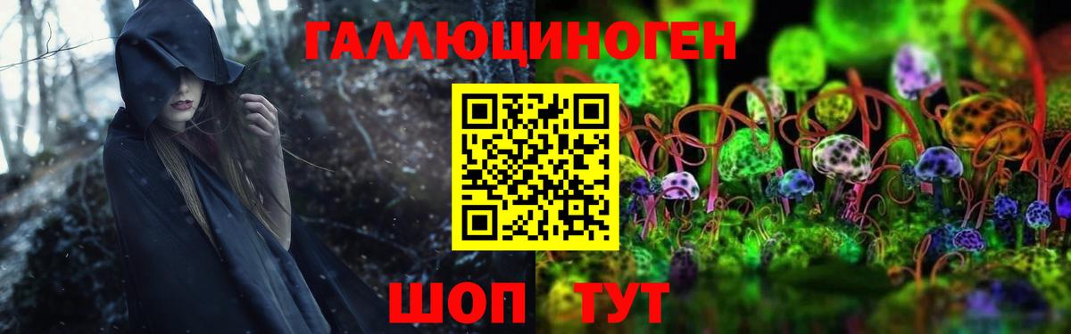 Псилоцибиновые грибы прущие грибы  что такое   Можга  Вход с VPN 