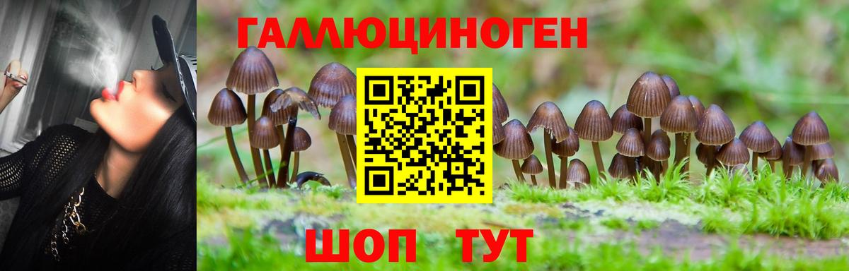 Галлюциногенные грибы Magic Shrooms Можга
